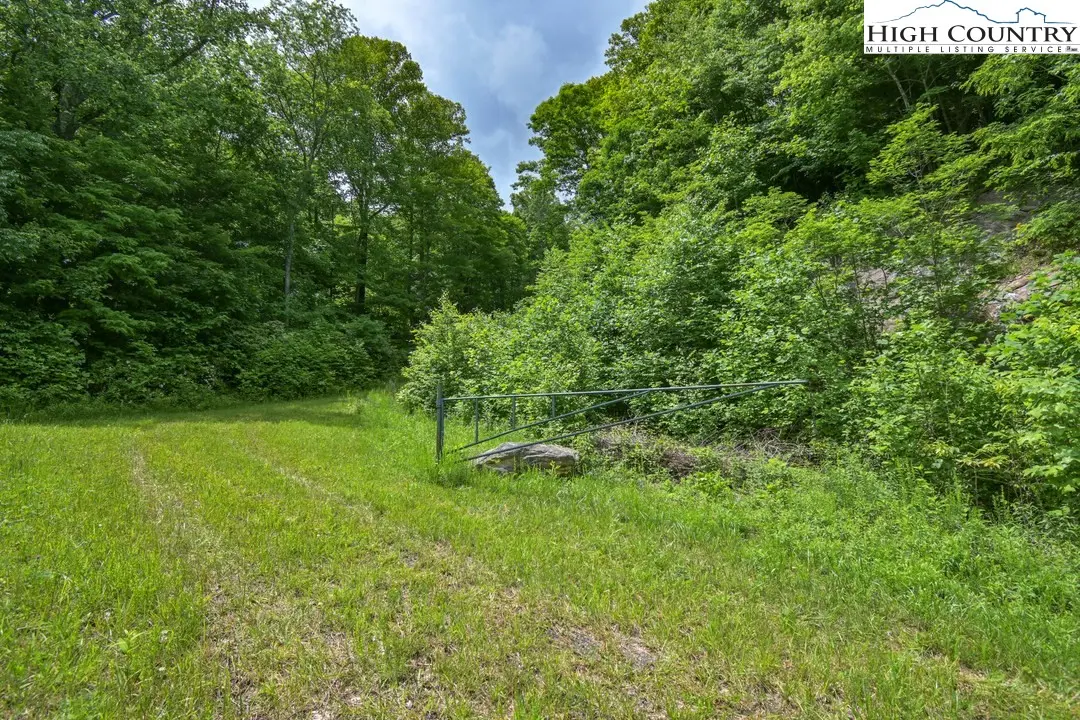 Image number 2 for the current listing