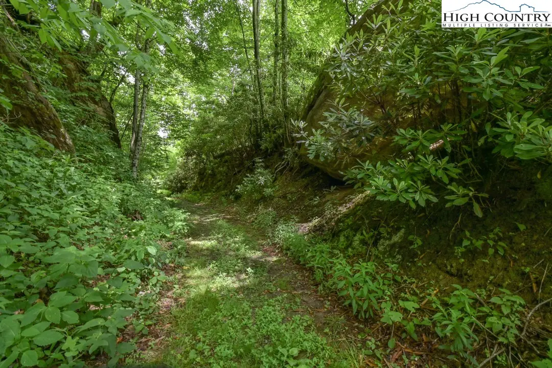 Image number 11 for the current listing