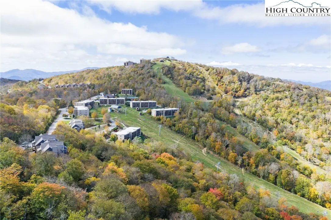 Image number 11 for the current listing