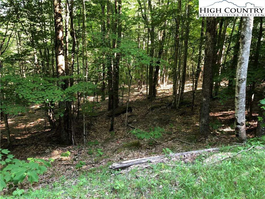 Image number 1 for the current listing