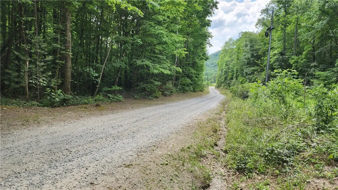 Image number 3 for the current listing