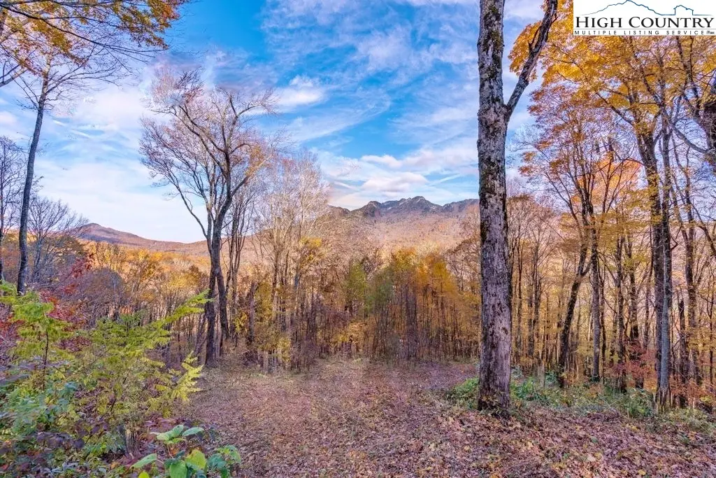 Image number 8 for the current listing