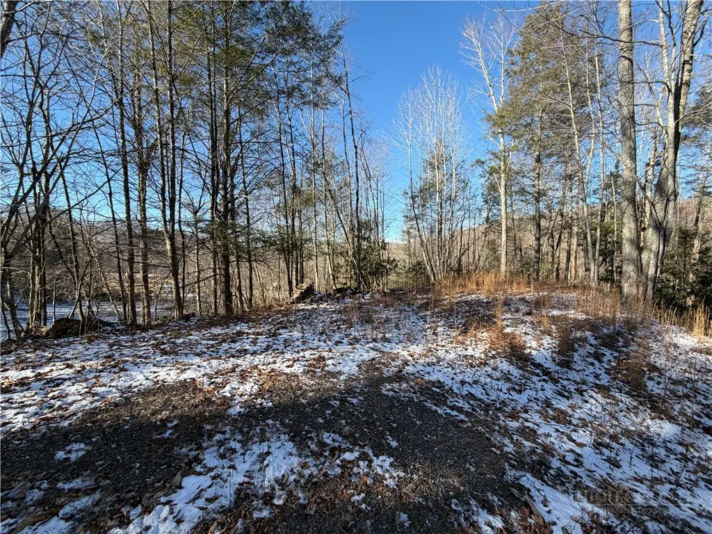 Image number 10 for the current listing