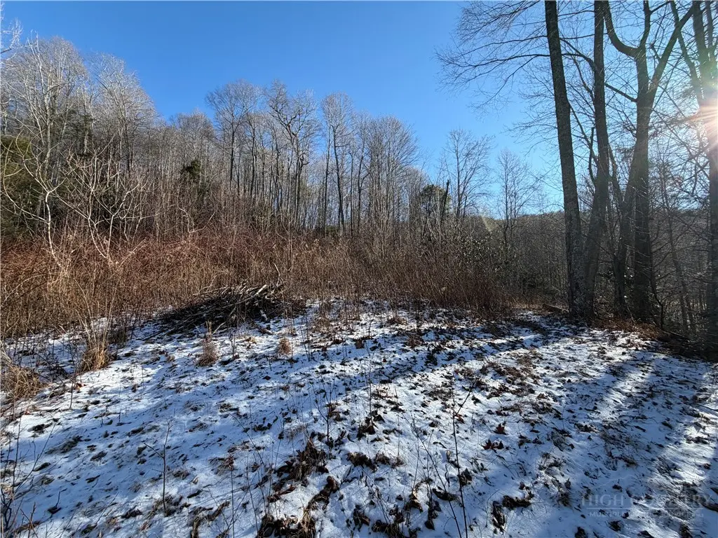 Image number 7 for the current listing