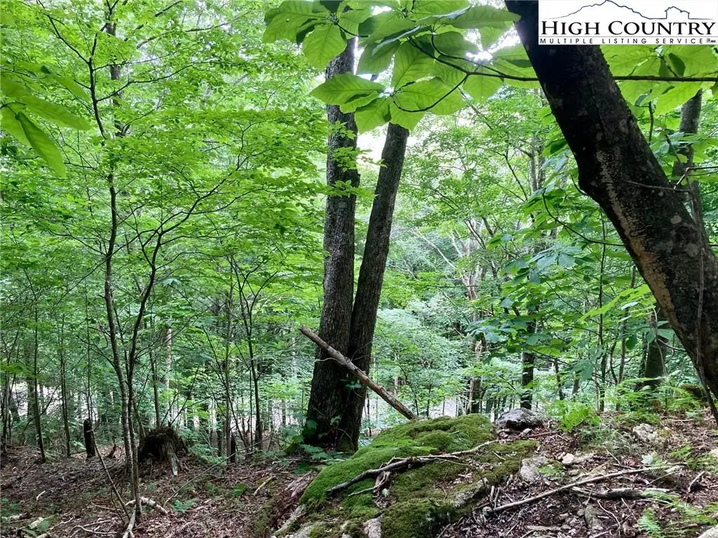 Image number 6 for the current listing