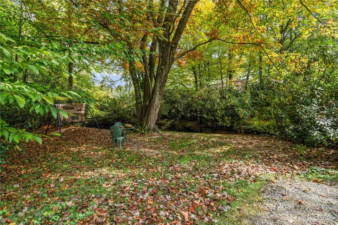 Image number 10 for the current listing