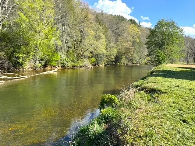 Image number 1 for the current listing