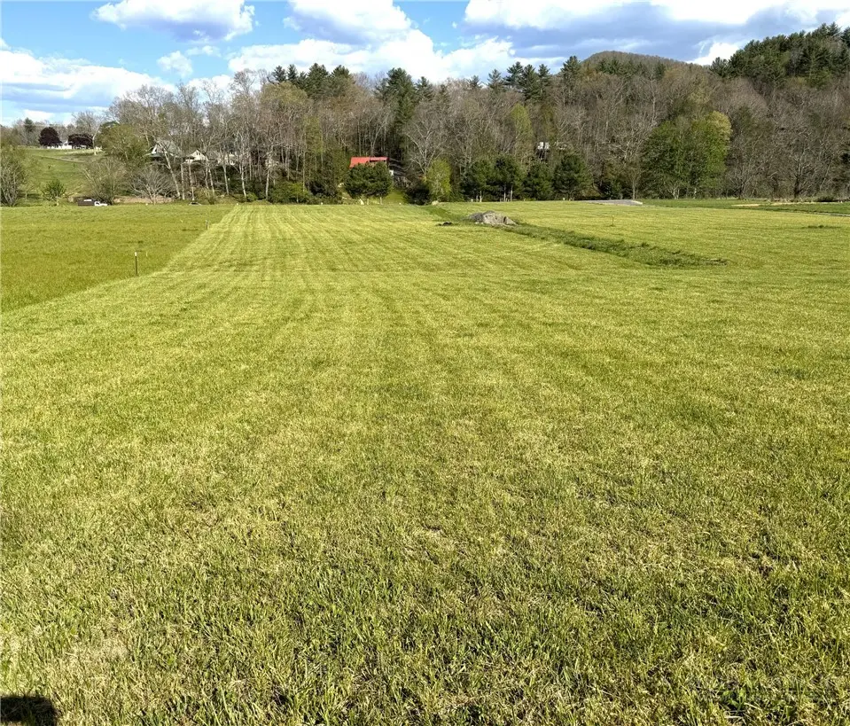 Image number 12 for the current listing