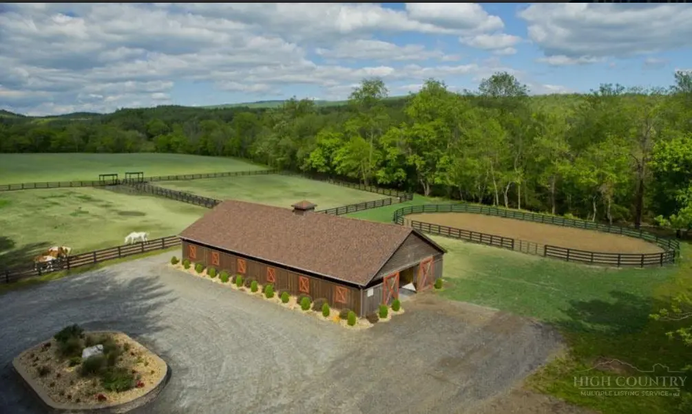 Image number 7 for the current listing