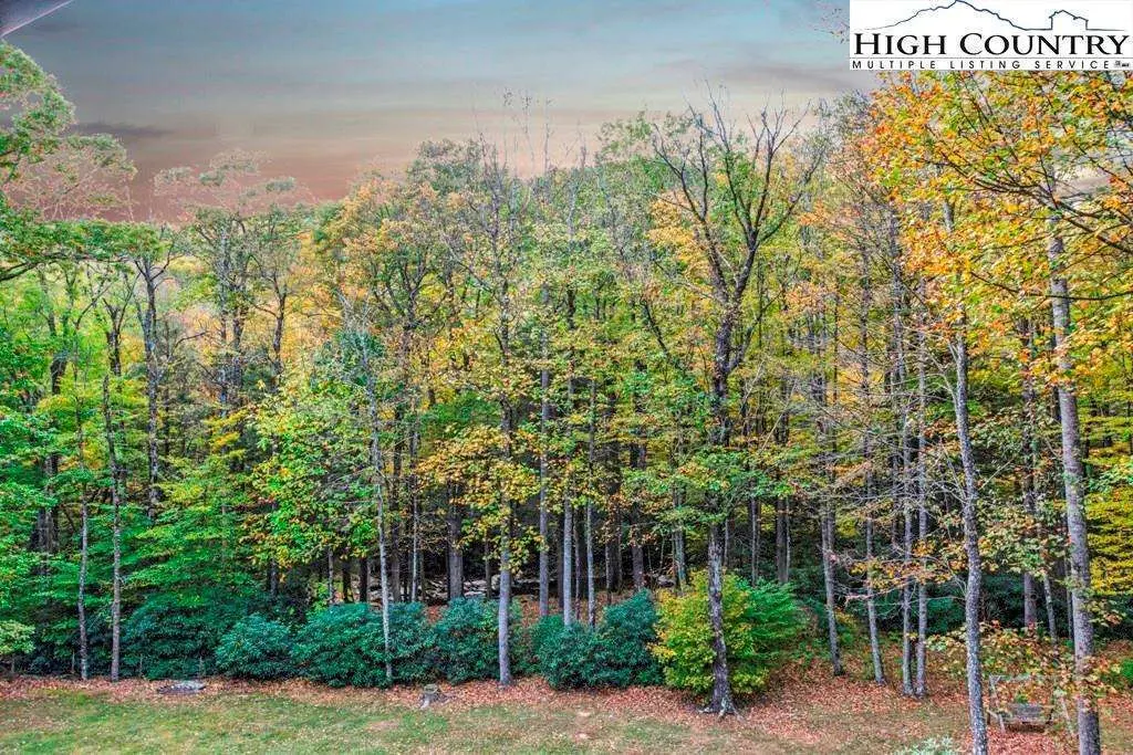 Image number 16 for the current listing