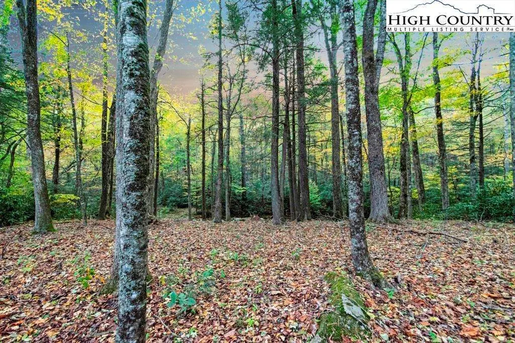 Image number 14 for the current listing