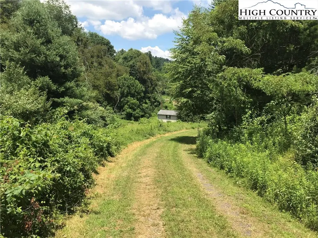 Image number 4 for the current listing