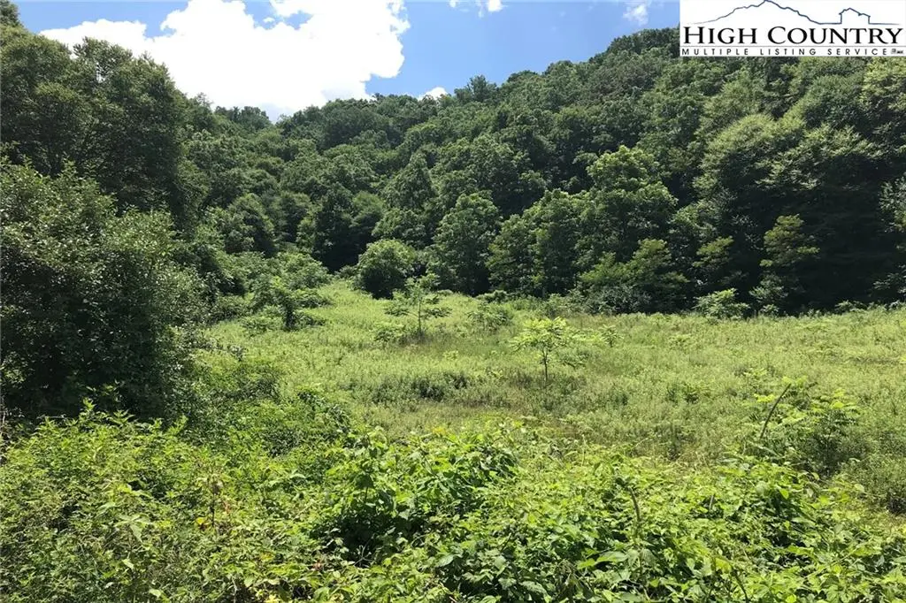 Image number 3 for the current listing