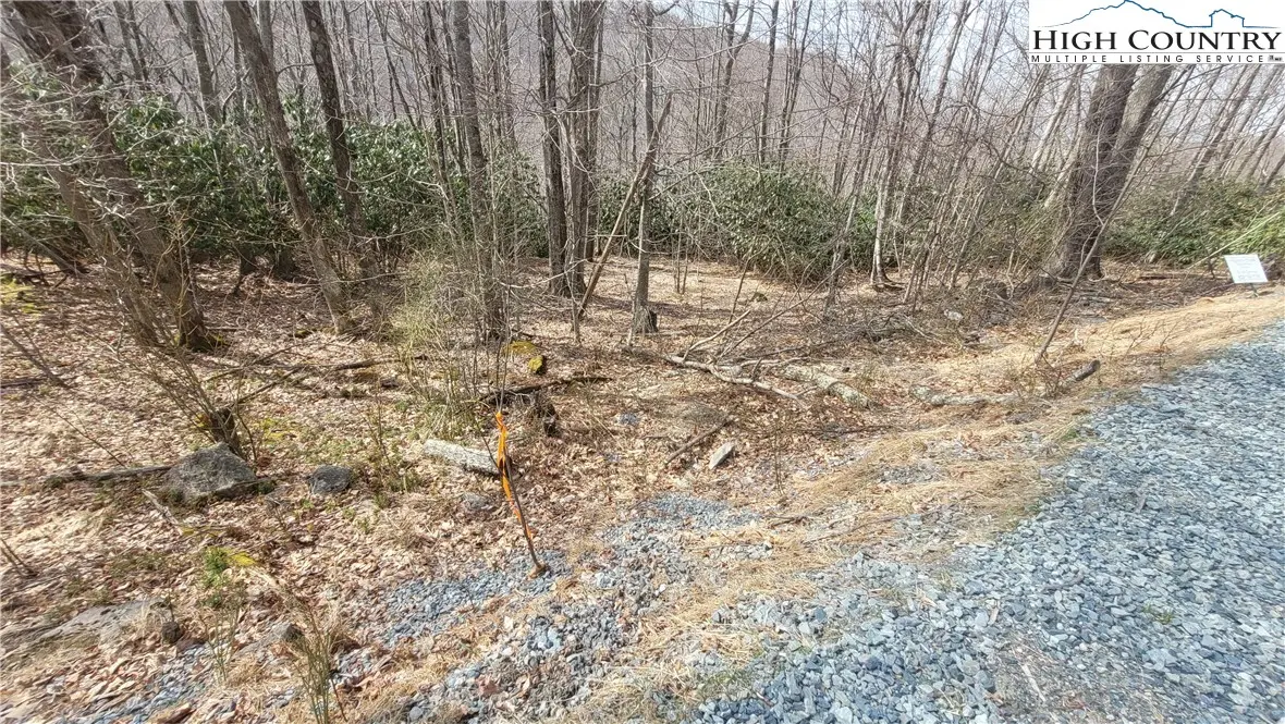 Image number 21 for the current listing