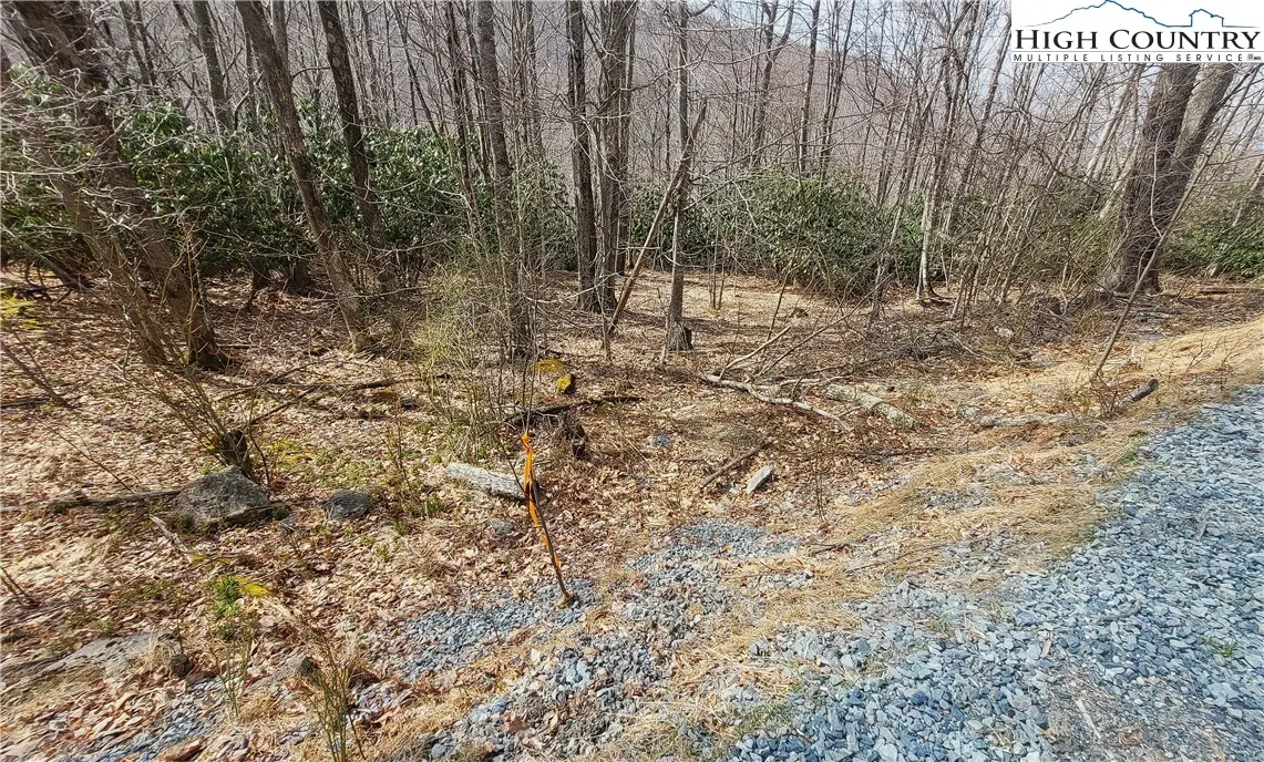 Image number 11 for the current listing