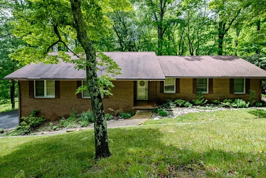 Image number 1 for the current listing