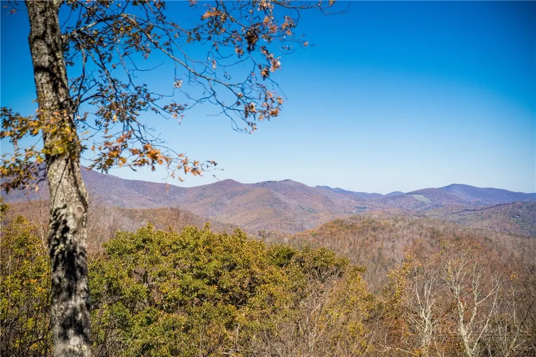 Image number 13 for the current listing