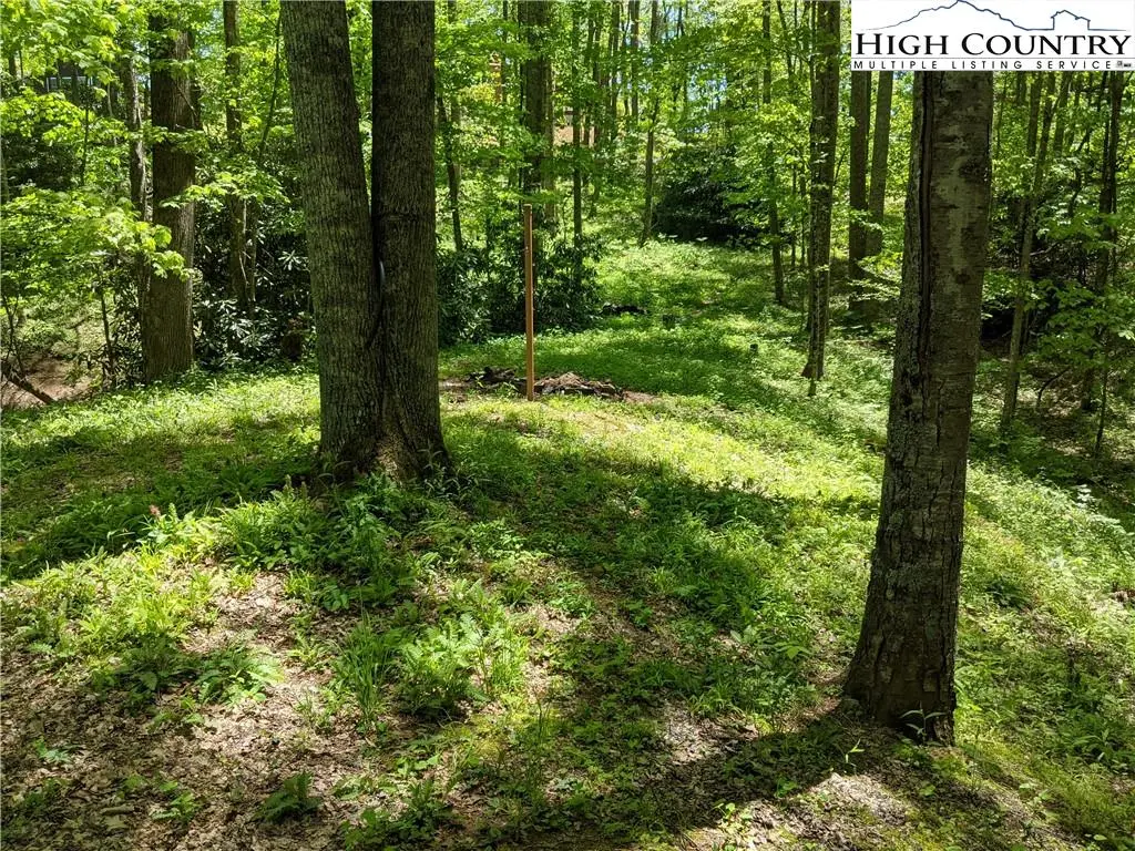 Image number 4 for the current listing