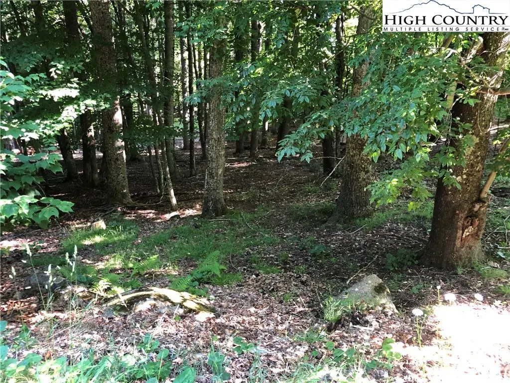 Image number 7 for the current listing