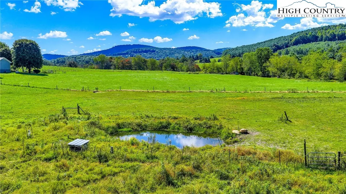 Image number 11 for the current listing