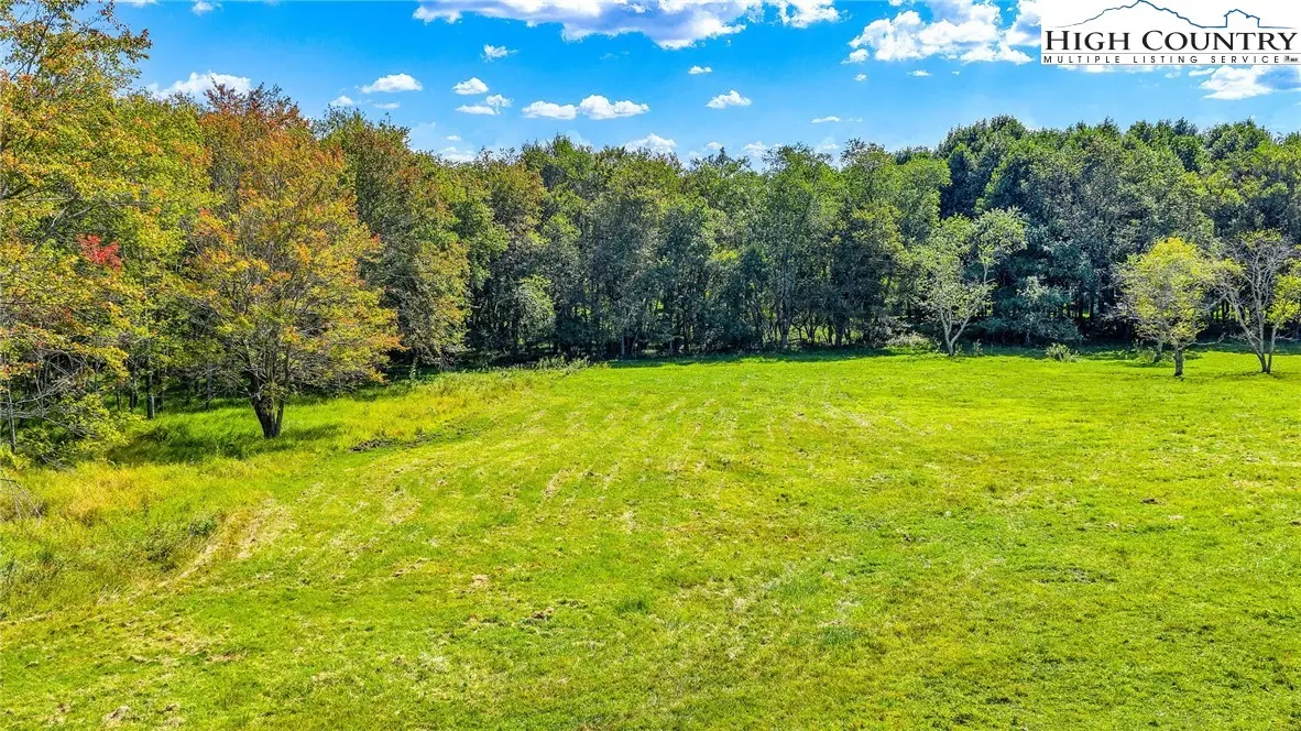 Image number 7 for the current listing