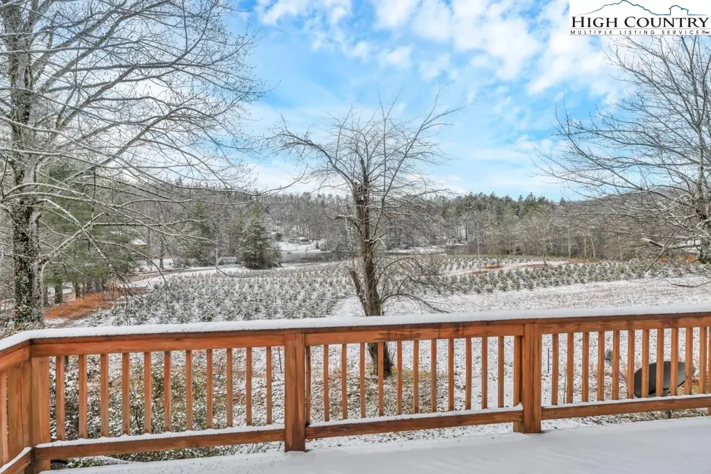 Image number 4 for the current listing