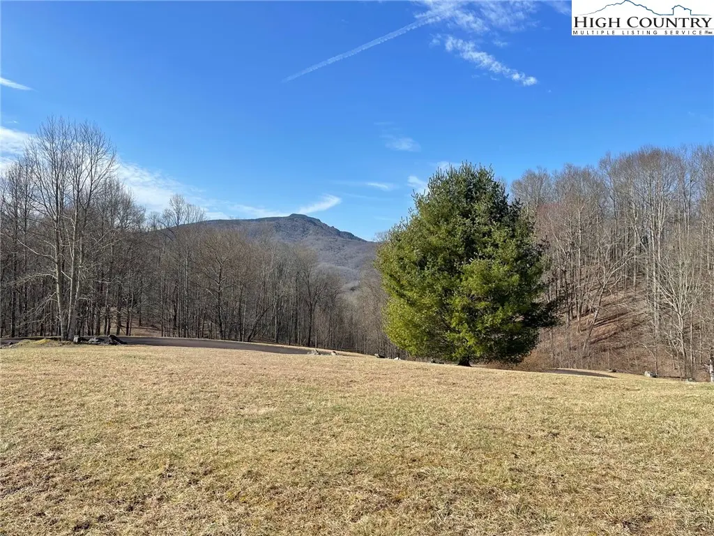 Image number 1 for the current listing