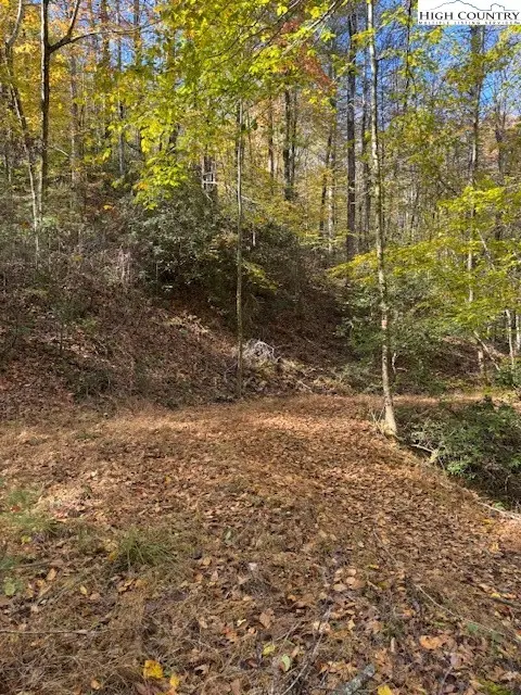 Image number 1 for the current listing