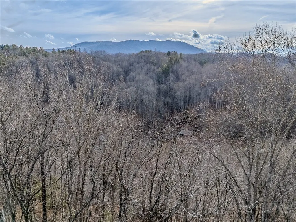 Image number 2 for the current listing