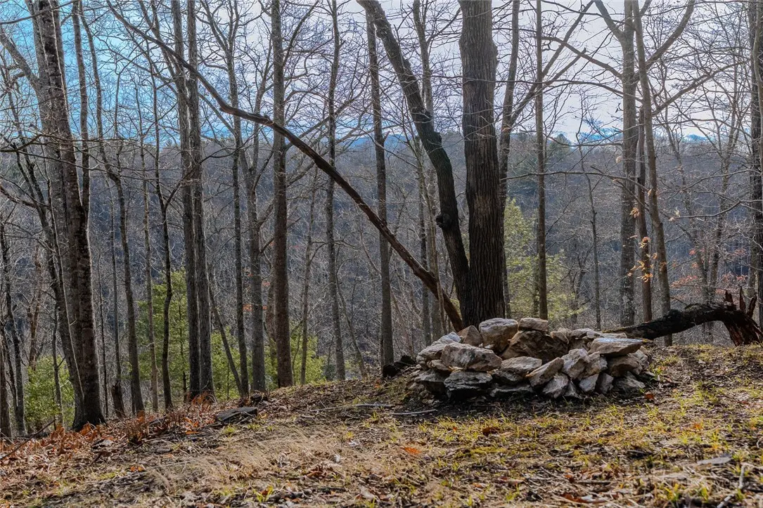 Image number 10 for the current listing