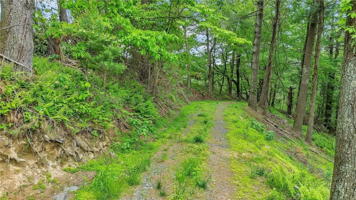 Image number 7 for the current listing