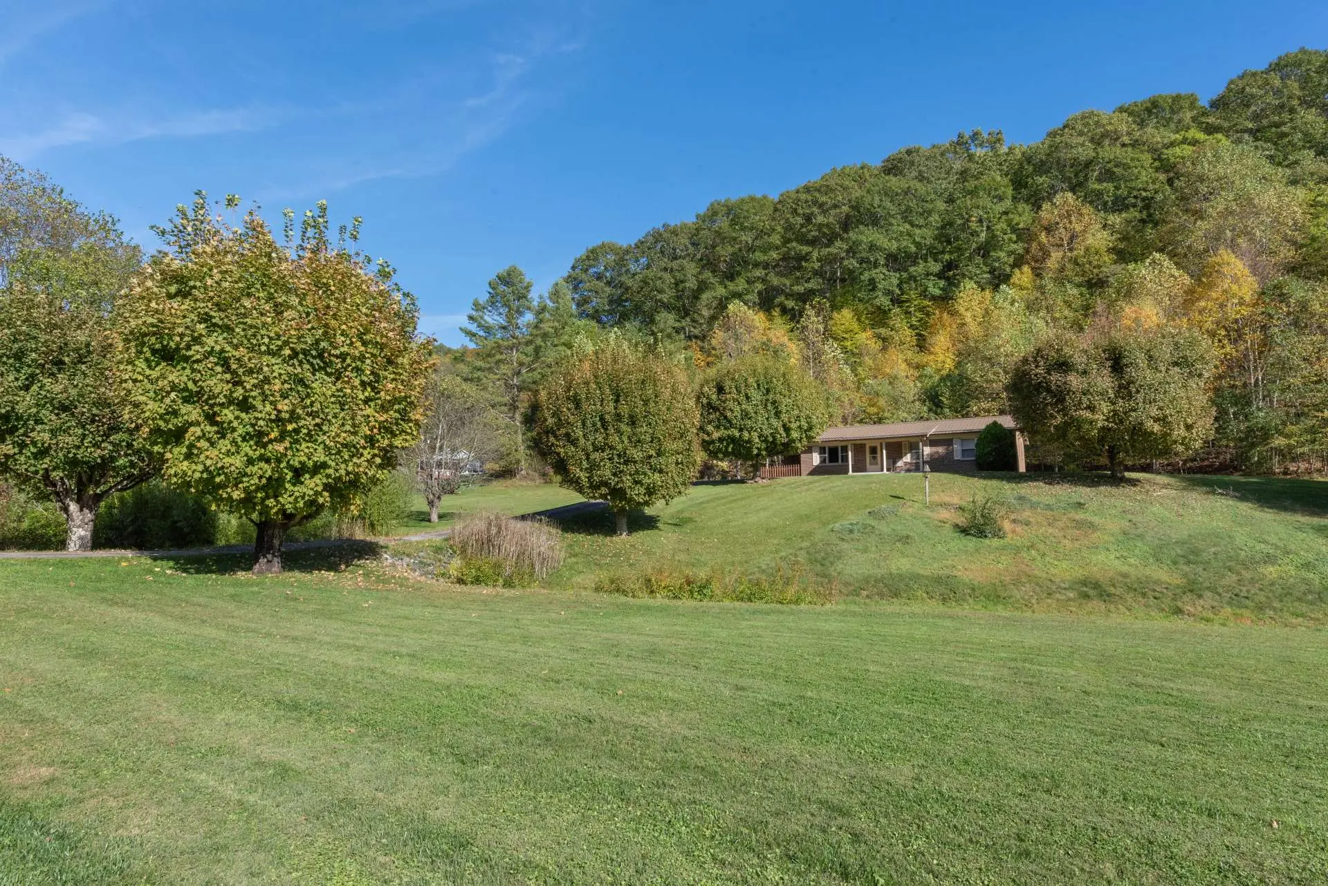 Image number 19 for the current listing