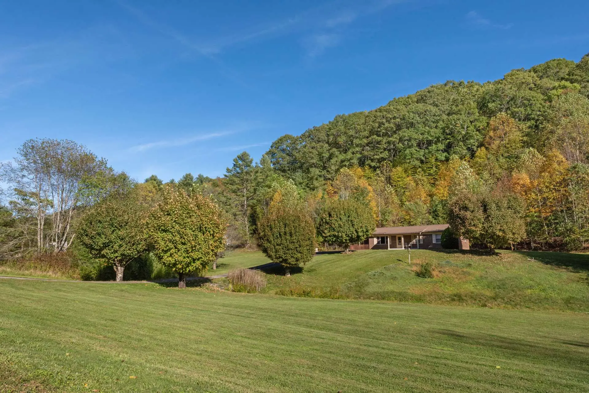 Image number 21 for the current listing