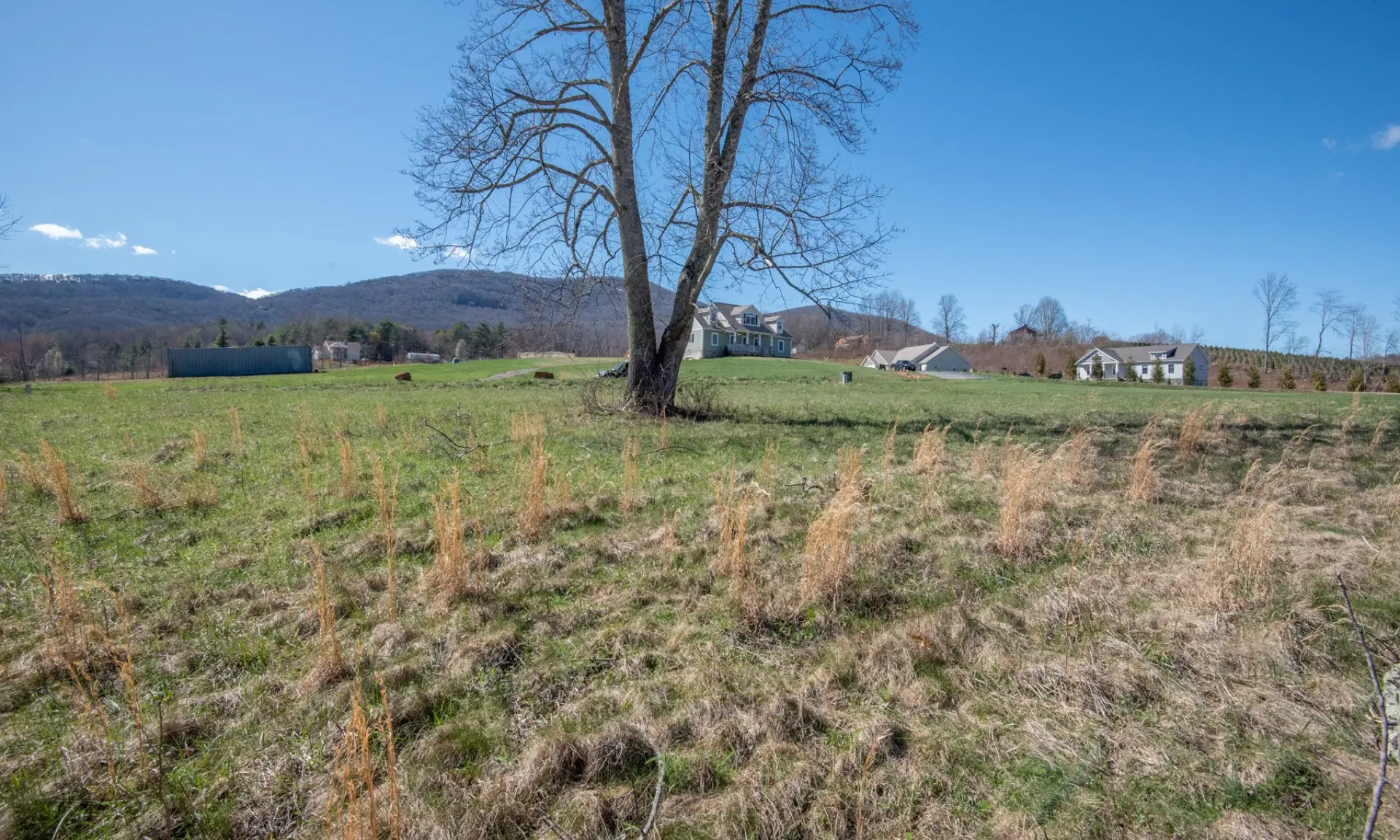 Image number 1 for the current listing