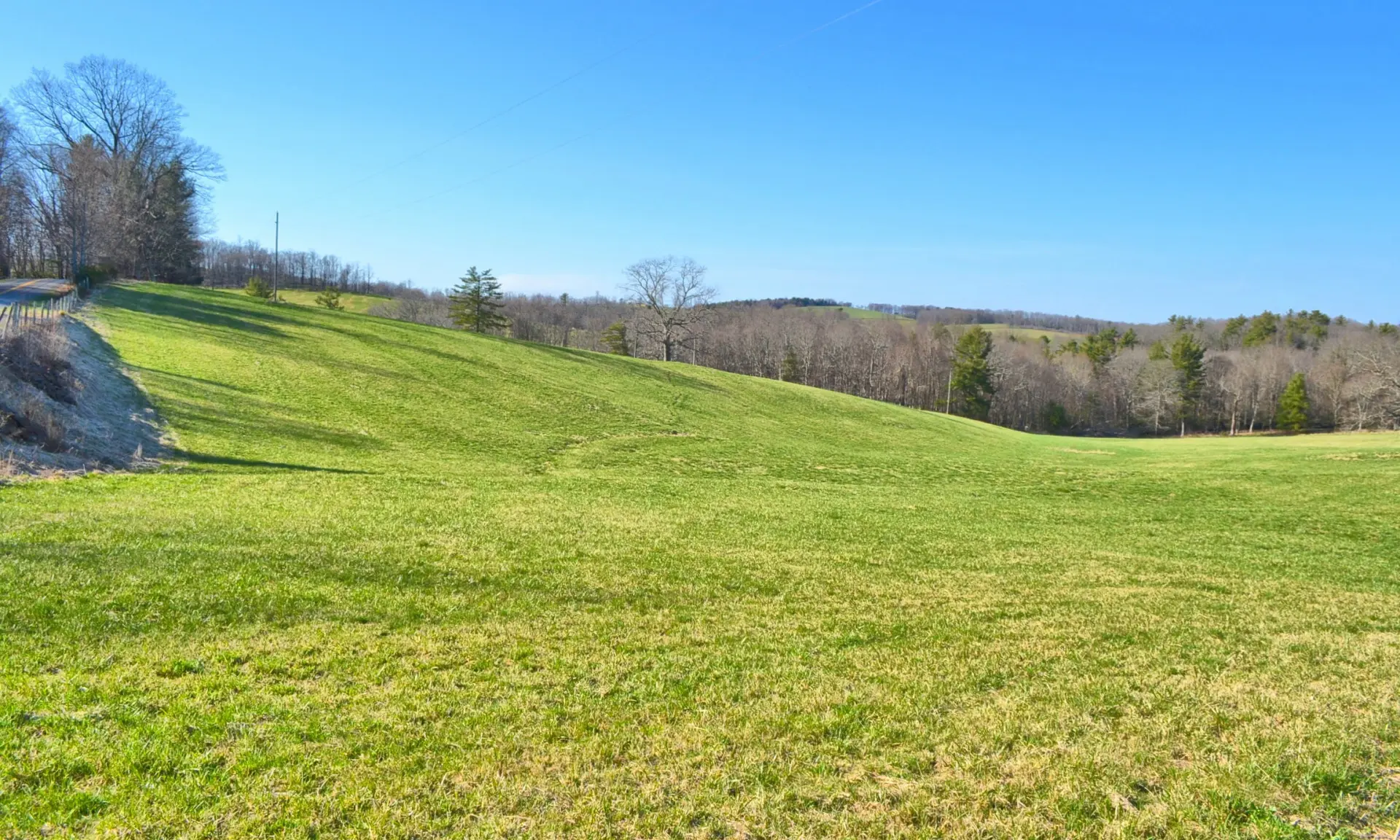 Image number 1 for the current listing