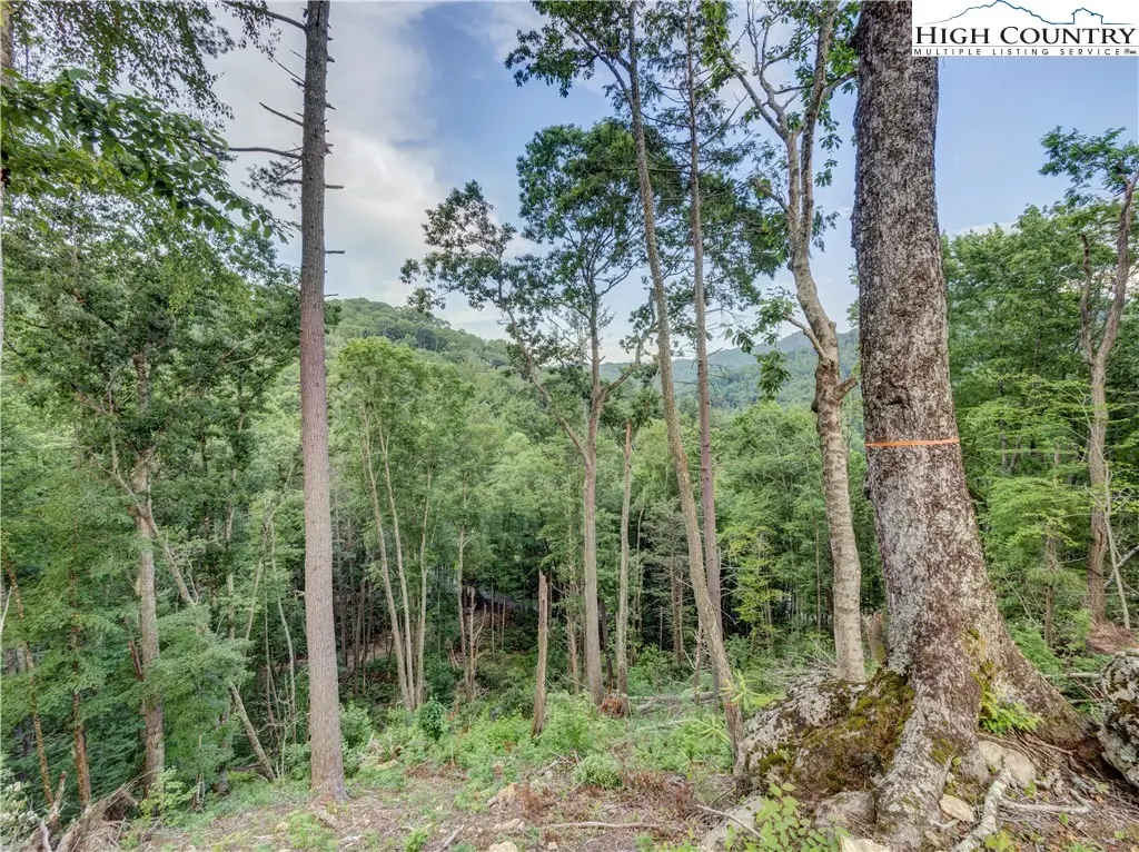 Image number 3 for the current listing