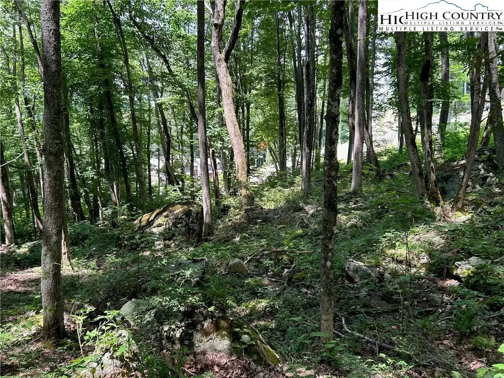 Image number 10 for the current listing