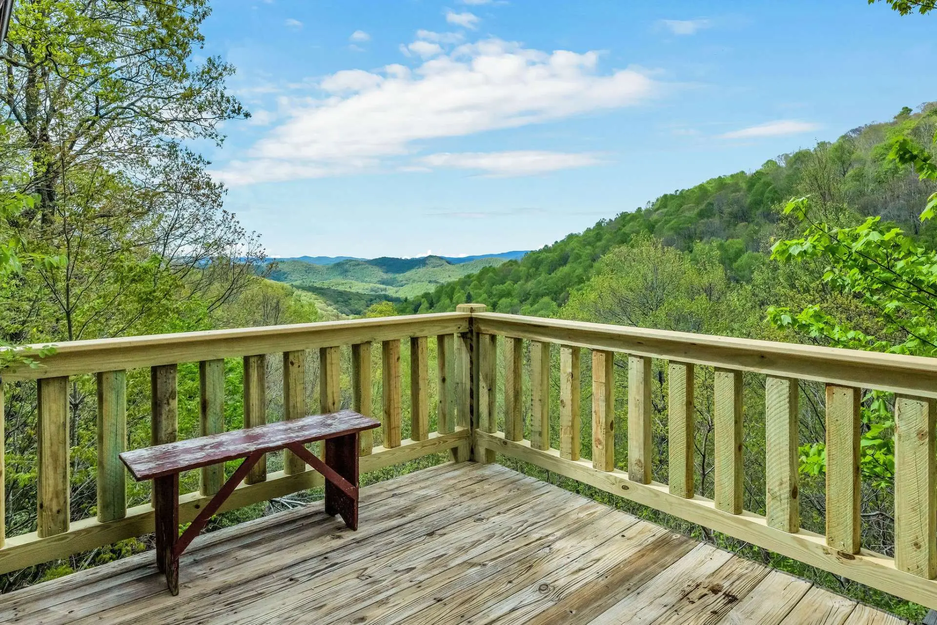 Image number 4 for the current listing