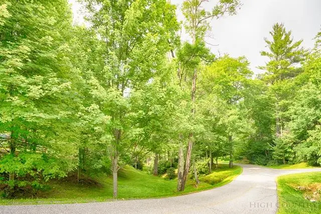 Image number 12 for the current listing