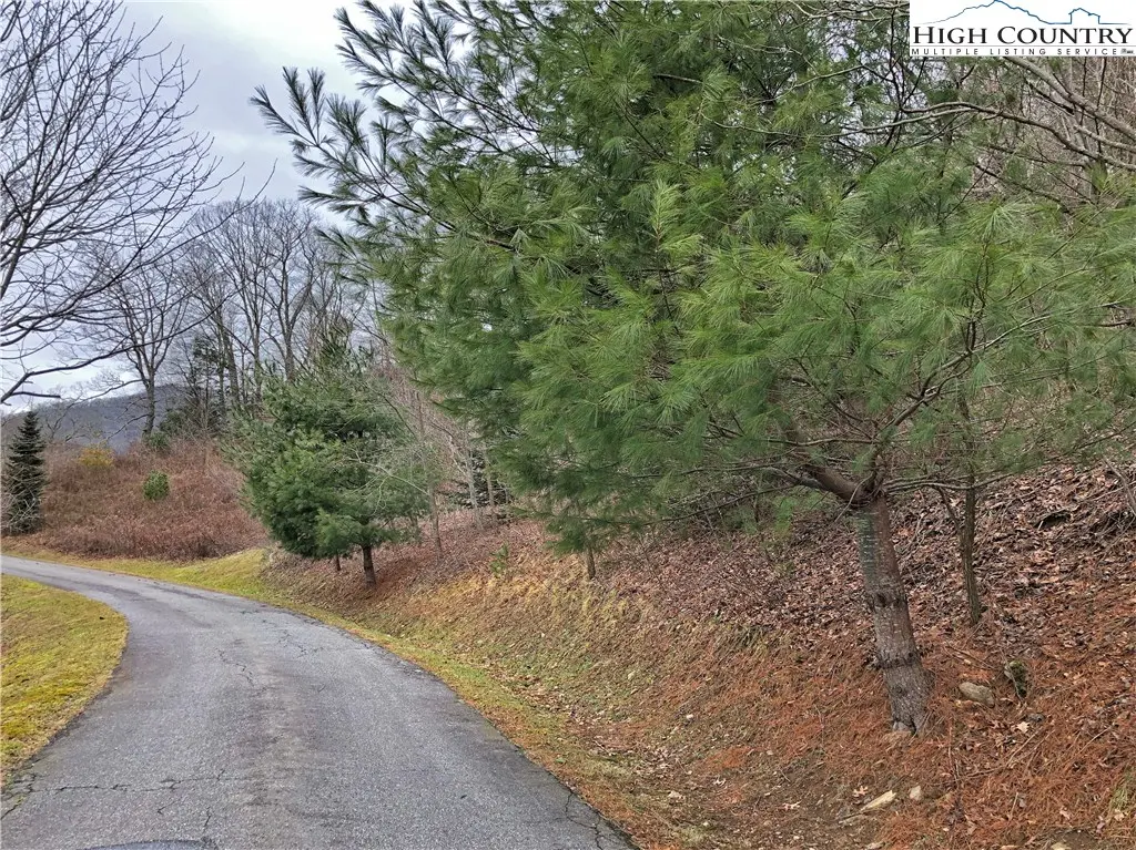 Image number 12 for the current listing