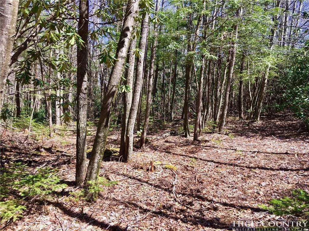 Image number 3 for the current listing