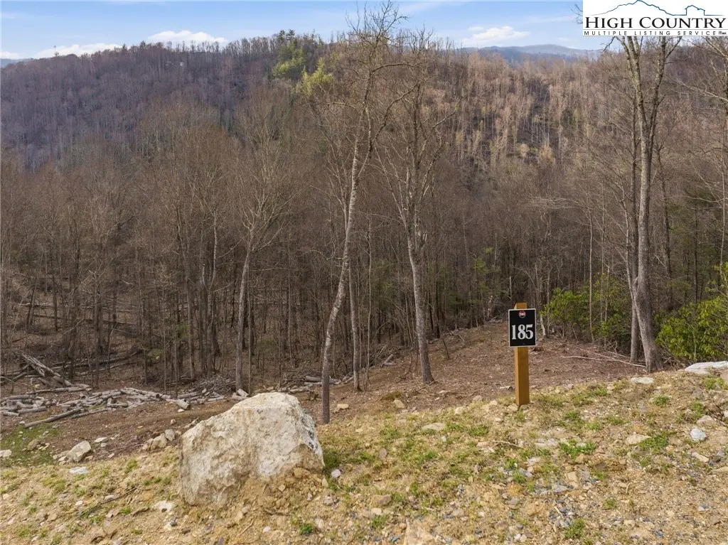 Image number 11 for the current listing