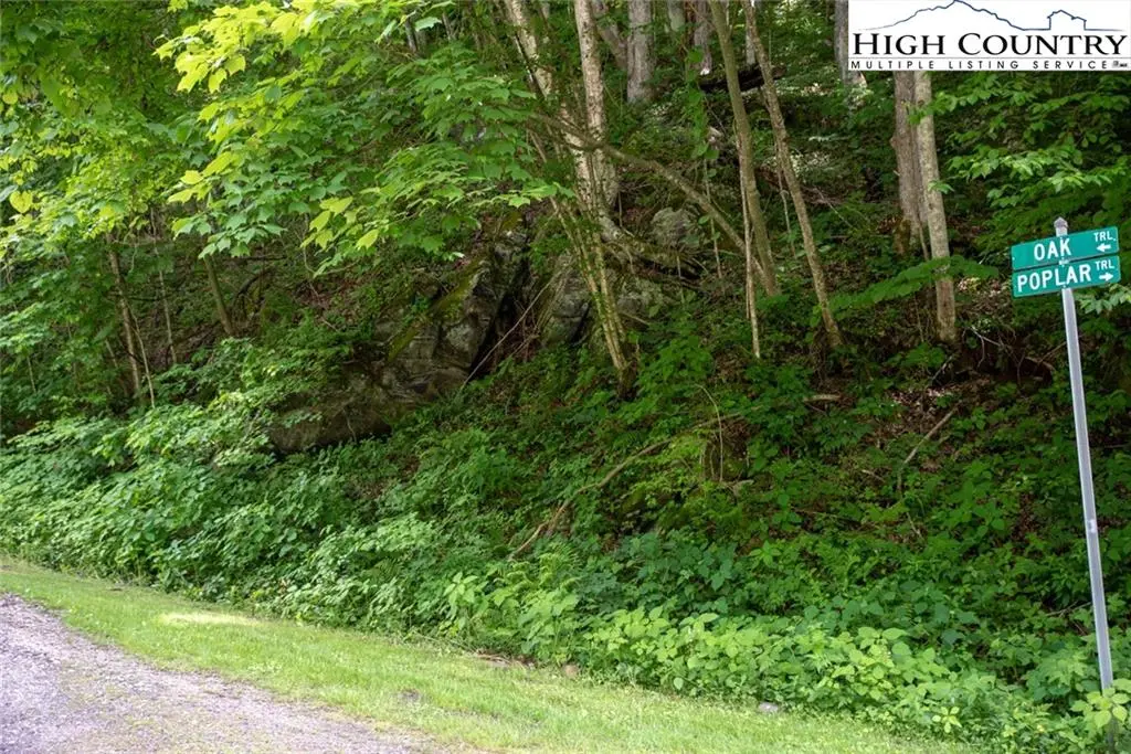Image number 14 for the current listing