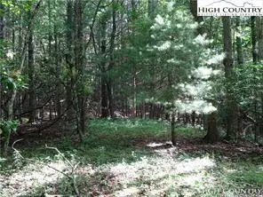 Image number 5 for the current listing