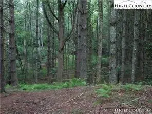 Image number 10 for the current listing