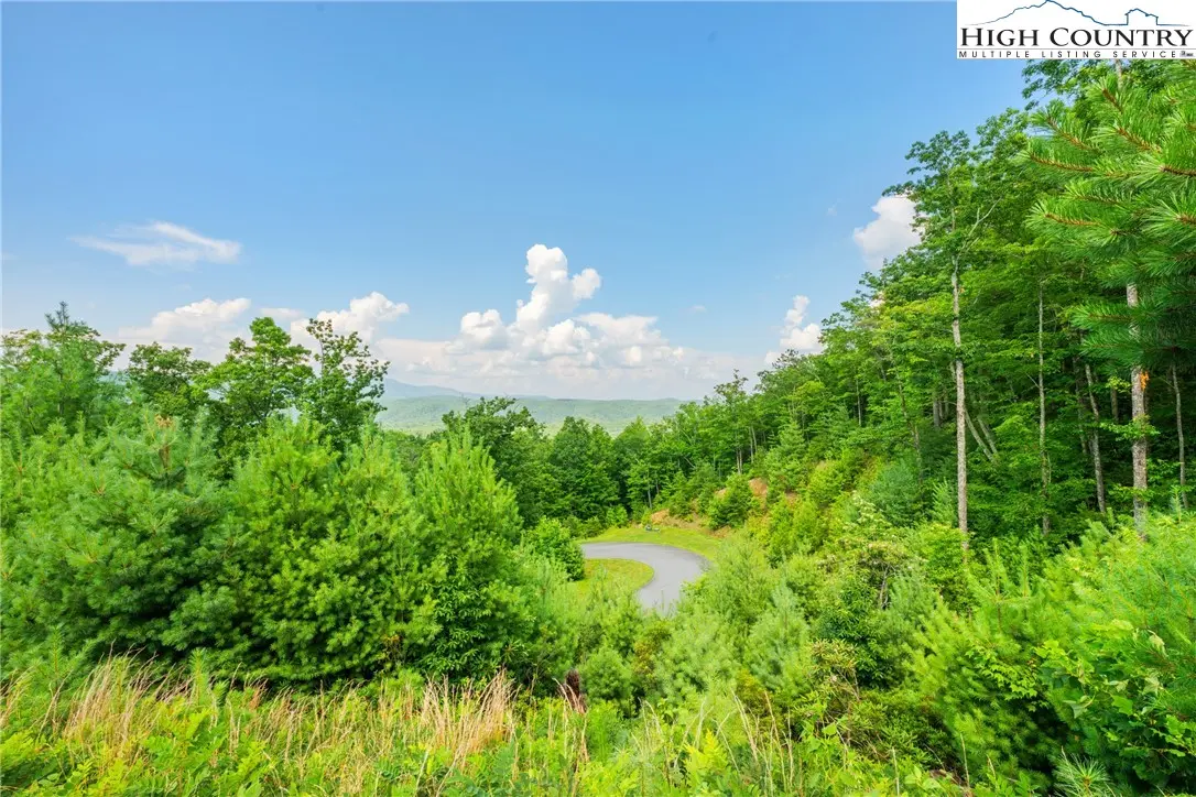 Image number 14 for the current listing
