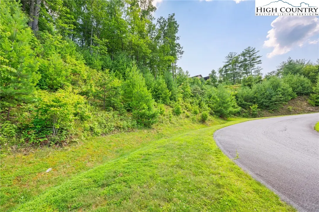 Image number 13 for the current listing