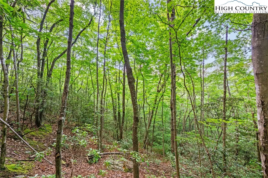 Image number 7 for the current listing