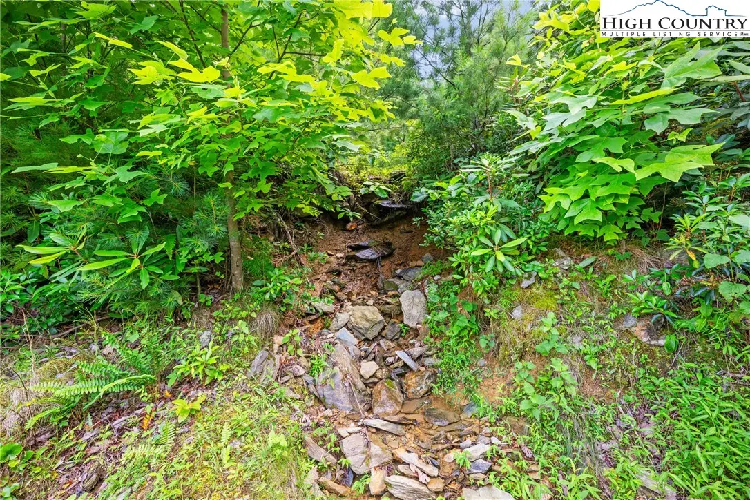 Image number 3 for the current listing