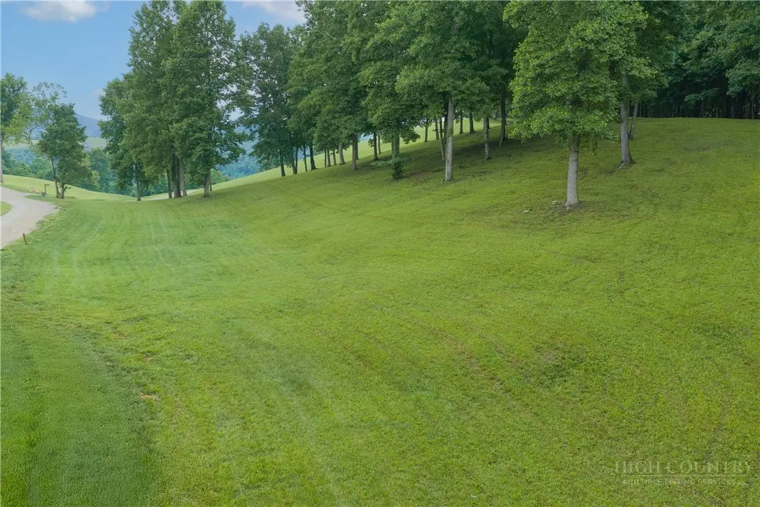 Image number 1 for the current listing